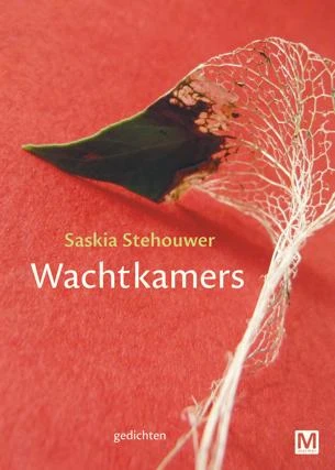 Wachtkamers – Saskia Stehouwer – boek cover