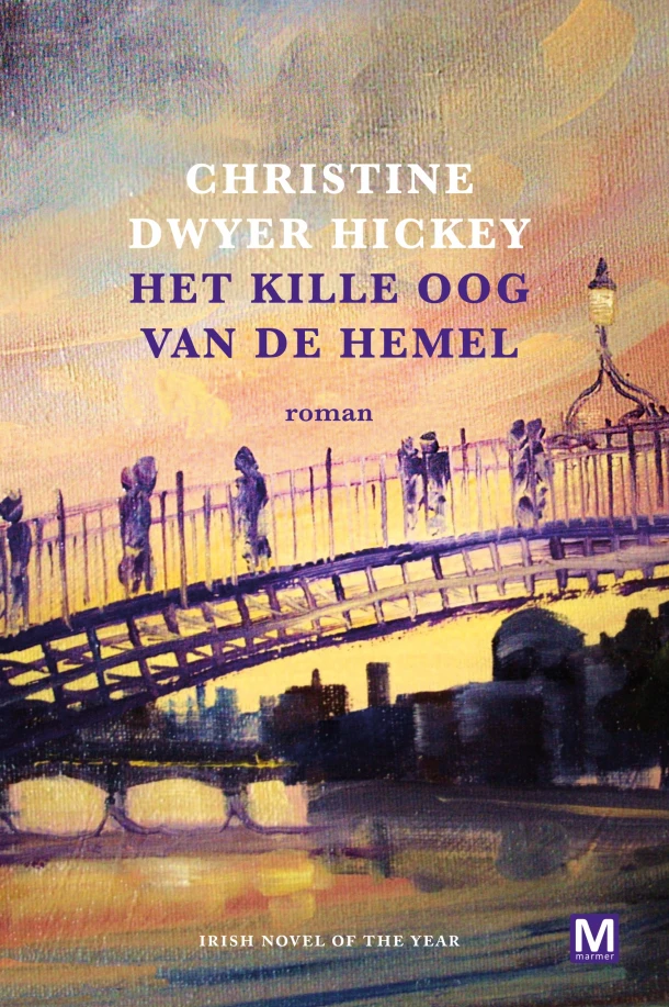 Het kille oog van de hemel – Christine Dwyer Hickey – boek cover