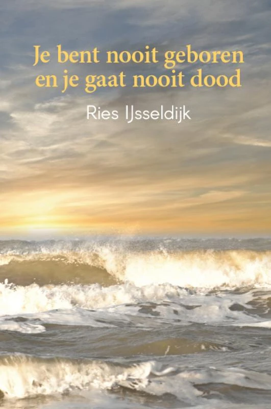 Je bent nooit geboren en je gaat nooit dood – Ries IJsseldijk – boek cover