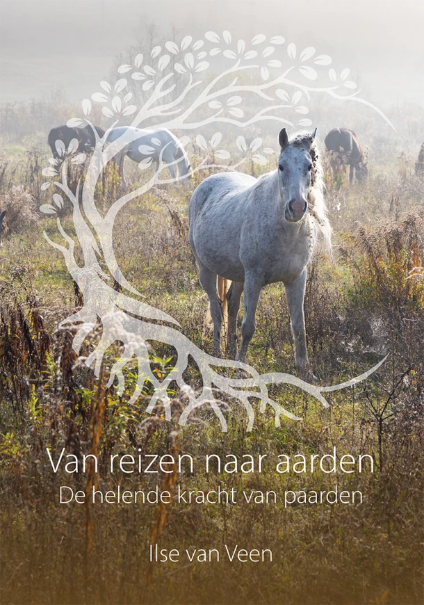 Van reizen naar aarden – Ilse van Veen – boek cover