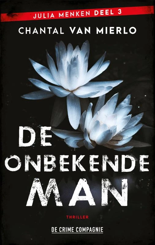 De onbekende man – Chantal van Mierlo – boek cover