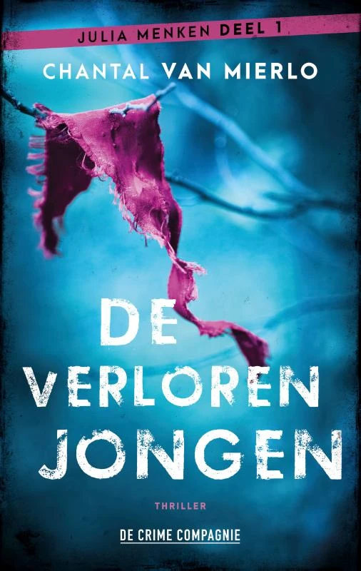 De verloren jongen – Chantal van Mierlo – boek cover