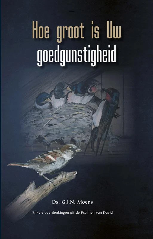 Hoe groot is Uw goedgunstigheid – G.J.N. Moens – boek cover
