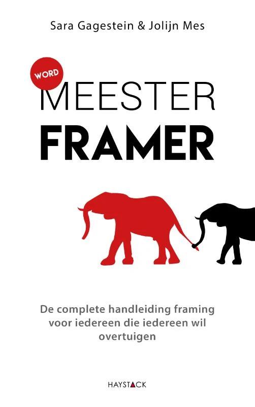 Word meesterframer – Sarah Gagestein – boek cover