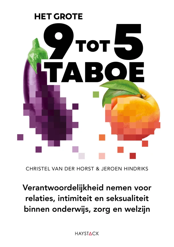 Het grote negen-tot-vijf-taboe – Christel van der Horst – boek cover