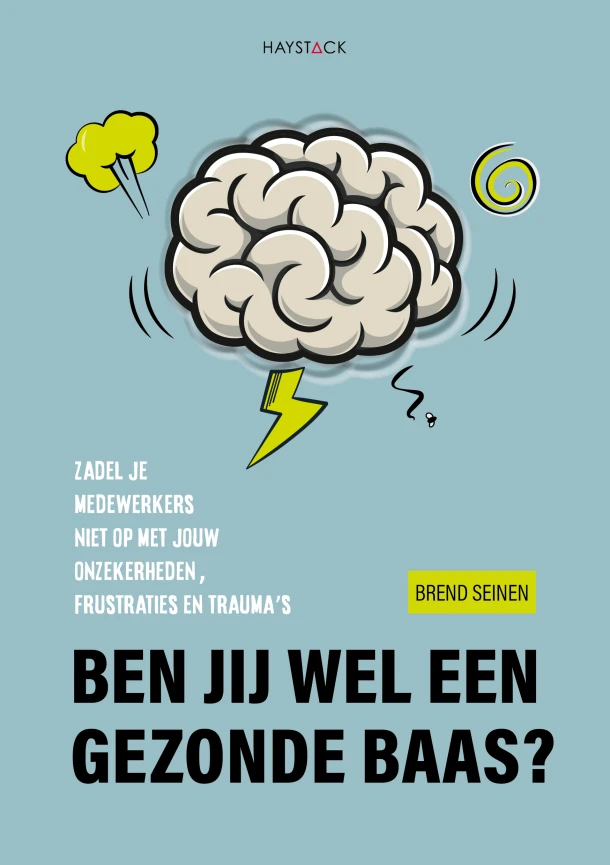 Ben jij wel een gezonde baas? – Brend Seinen – boek cover