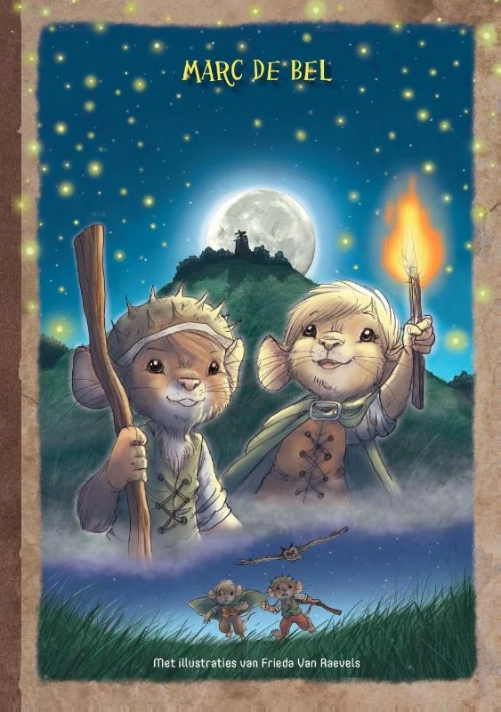 De steen van Nowan – boek cover