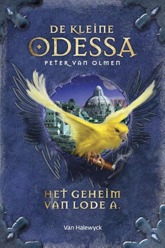 Het geheim van Lode A – boek cover