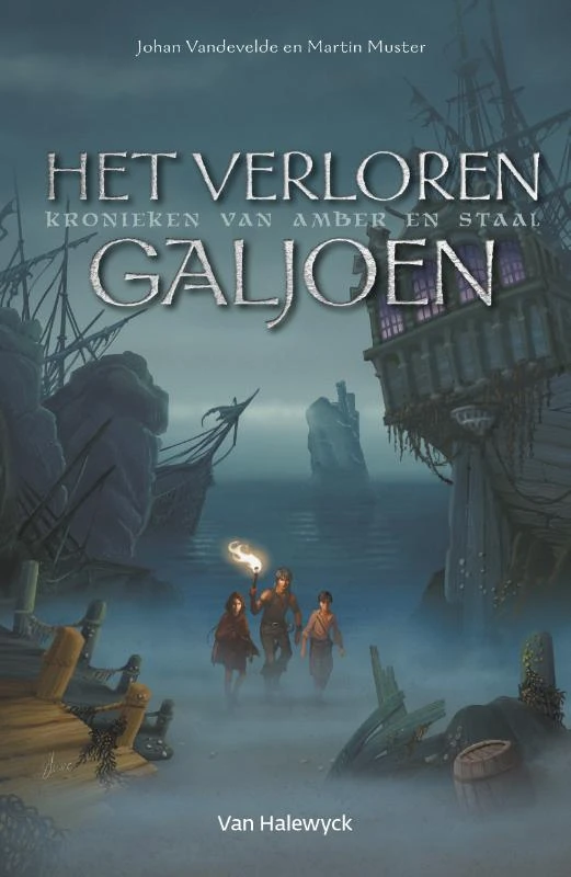 Het verloren galjoen – Johan Vandevelde – boek cover