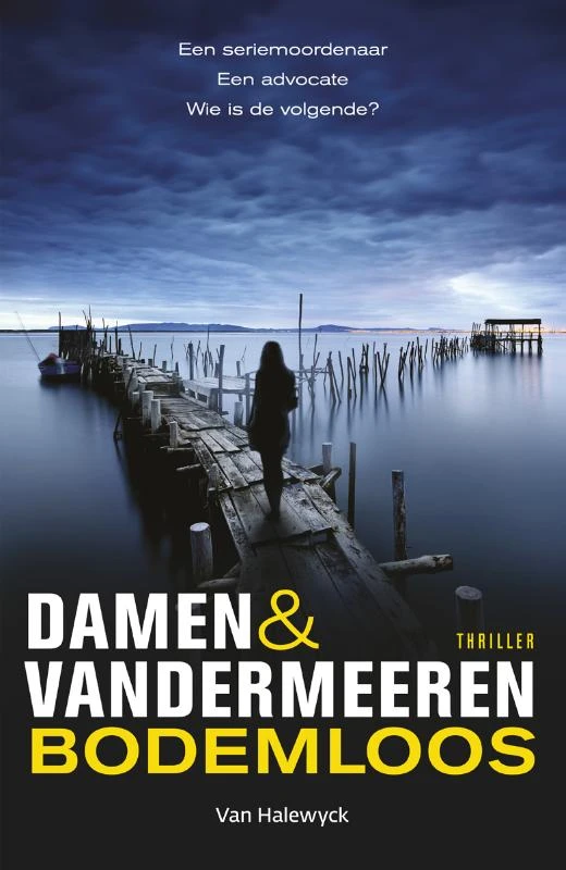 Bodemloos – boek cover