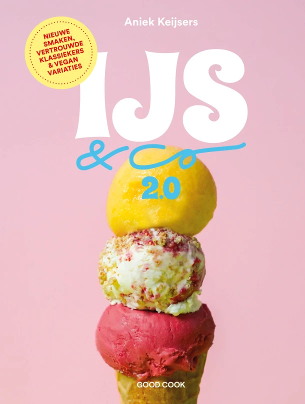IJs & co 2.0 – Aniek Keijsers – boek cover