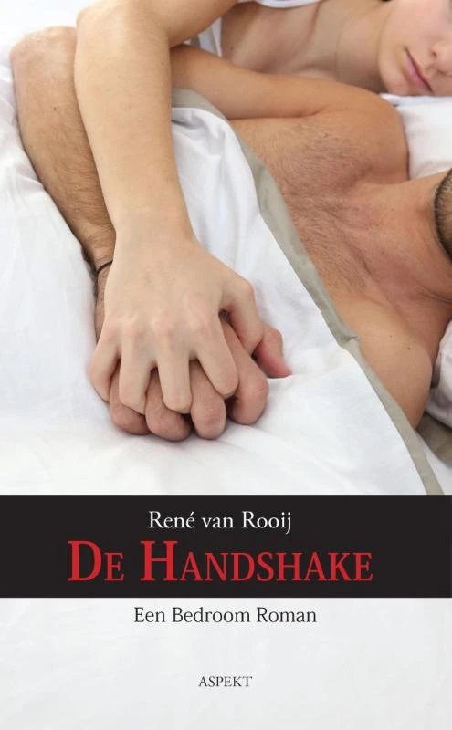 De handshake – René van Rooij – boek cover