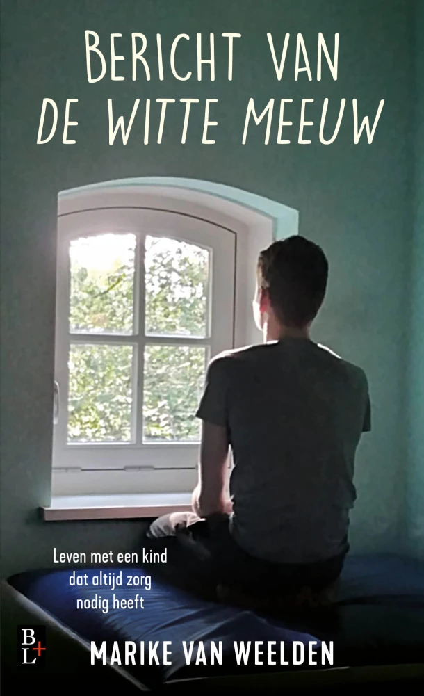 Bericht van de Witte Meeuw – Marike van Weelden – boek cover