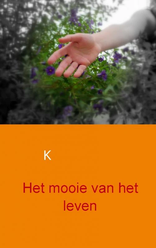 Het mooie van het leven – Kim Brouwer – boek cover