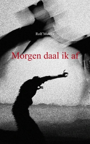 Morgen daal ik af – Rolf Mulder – boek cover
