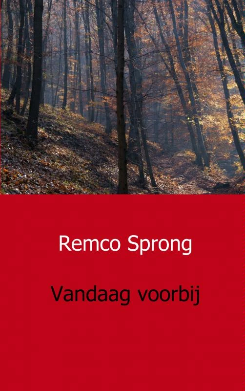 Vandaag voorbij – Remco Sprong – boek cover