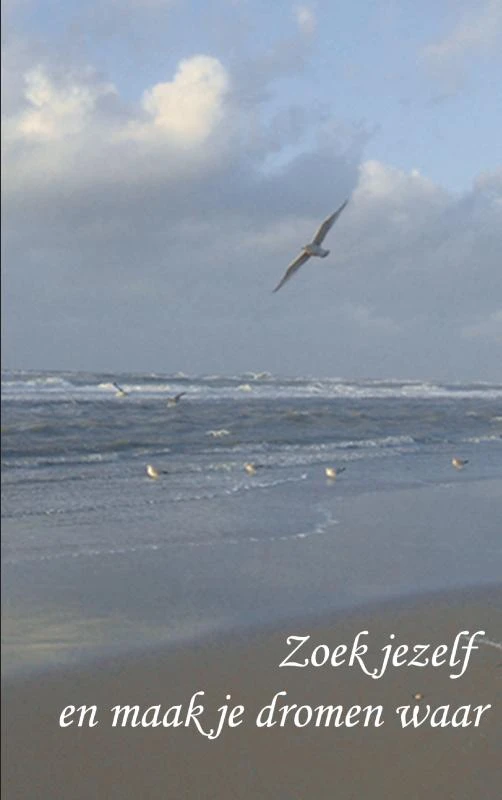 Zoek jezelf en maak je dromen waar – Jet Bidlot – boek cover