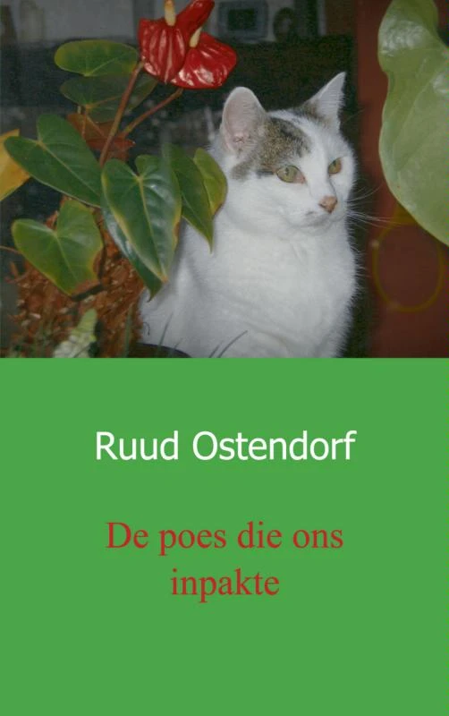 De poes die ons inpakte – Japke en Ruud Ostendorf Ostendorf – boek cover