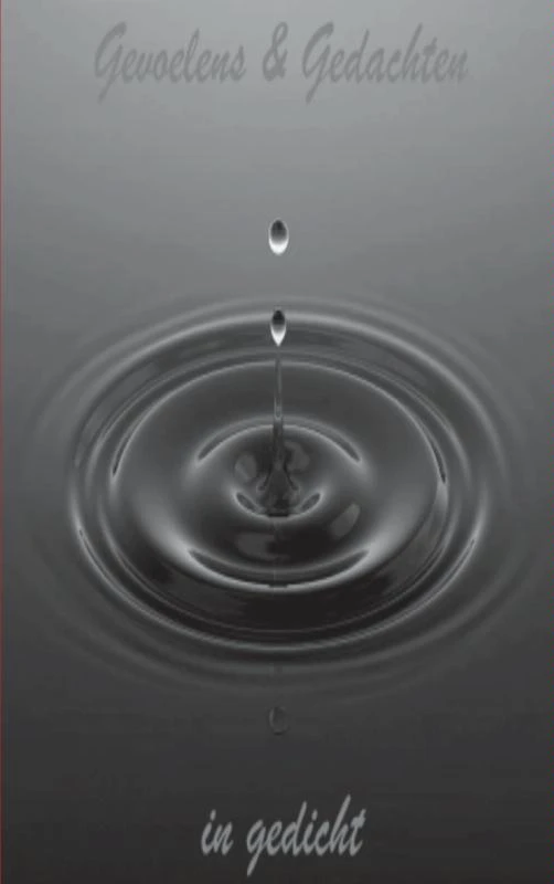 Gevoelens en gedachten – Kim Golsteijn – boek cover