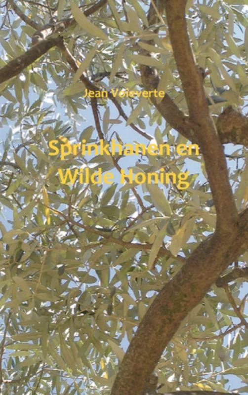 Sprinkhanen en wilde honing – Jean Voieverte – boek cover