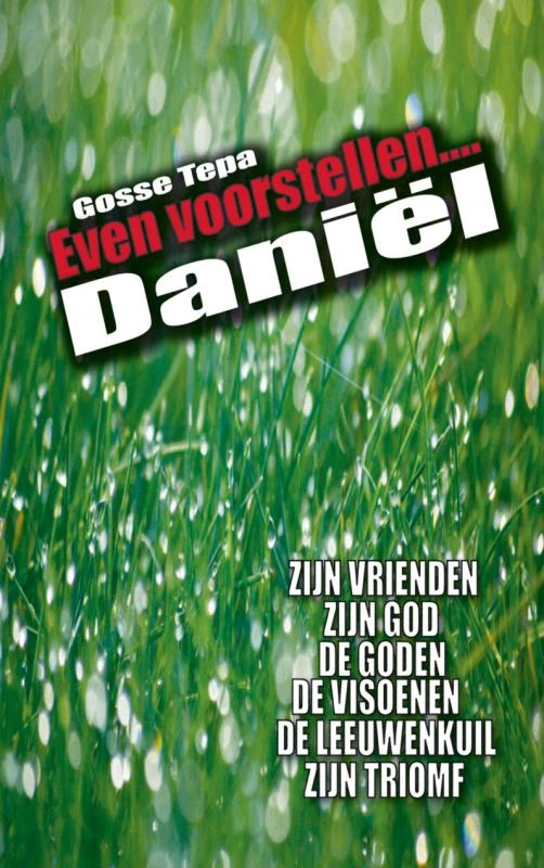 Daniel – Gosse Tepa – boek cover