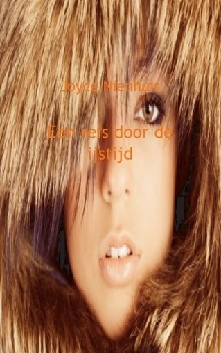 Een reis door de ijstijd – Joyce Nienhuis – boek cover