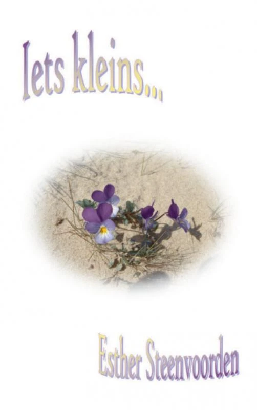 Iets kleins – Esther Steenvoorden – boek cover
