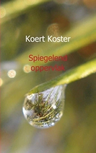 Spiegelend oppervlak – Koert Koster – boek cover