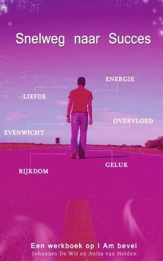 Snelweg naar succes – Johannes De Wit – boek cover