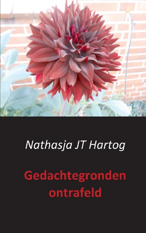 Gedachtegronden ontrafeld – Nathasja JT Hartog – boek cover