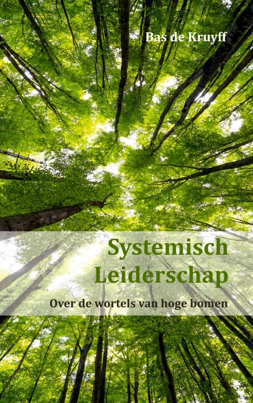 Systemisch Leiderschap – Bas de Kruyff – boek cover