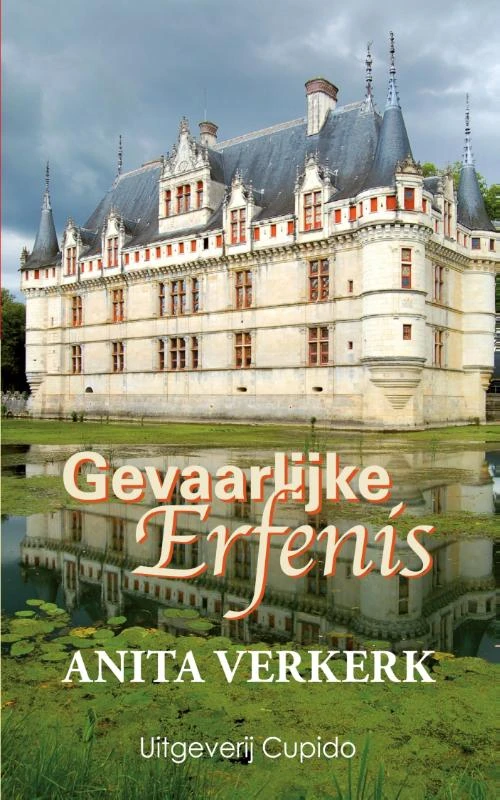 Gevaarlijke erfenis – Anita Verkerk – boek cover