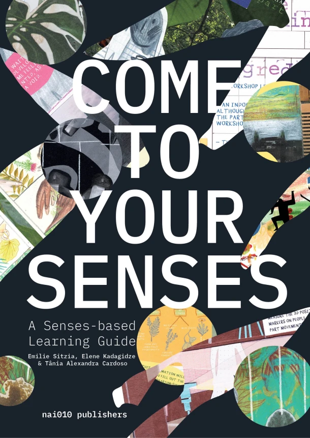 Come to Your Senses – Emilie Sitzia – boek cover