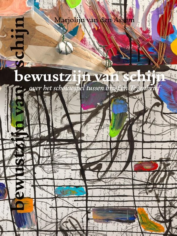 bewustzijn van schijn – Marjolijn van den Assem – boek cover