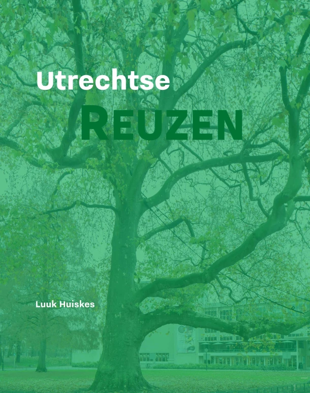 Utrechtse Reuzen – Luuk Huiskes – boek cover