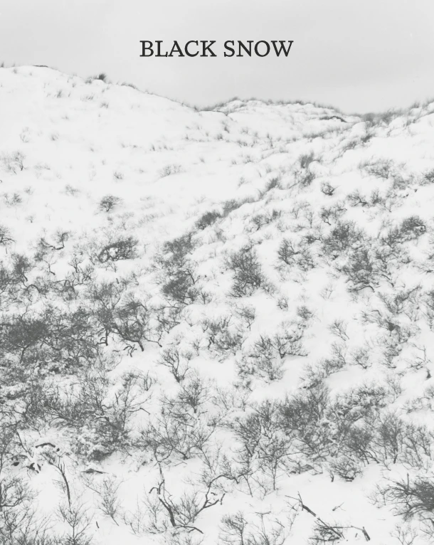 Black Snow – Harm van de Poel – boek cover