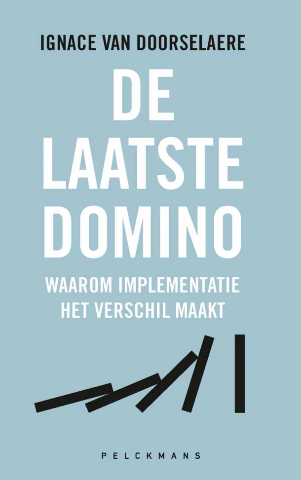 De laatste domino – boek cover
