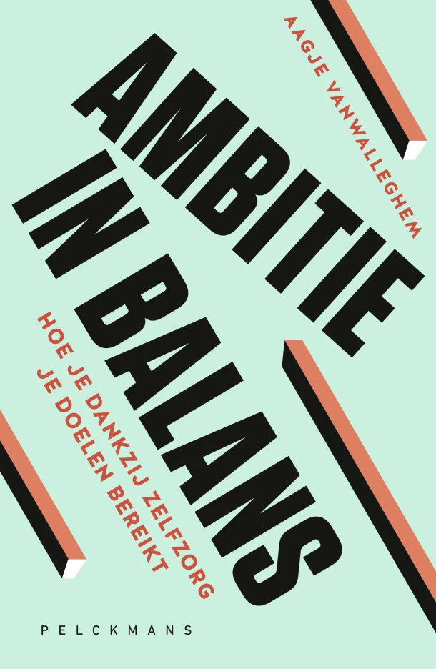 Ambitie in balans – Aagje Vanwalleghem – boek cover