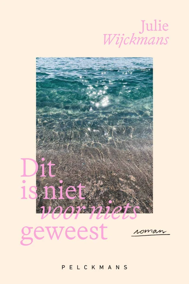 Dit is niet voor niets geweest – Julie Wijckmans – boek cover