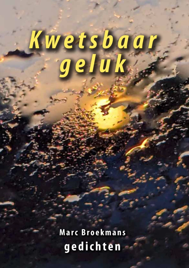 Kwetsbaar geluk – Marc Broekmans – boek cover