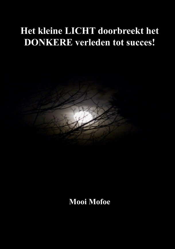 Het kleine LICHT doorbreekt het DONKERE verleden tot succes! – Wilma Dijon – boek cover