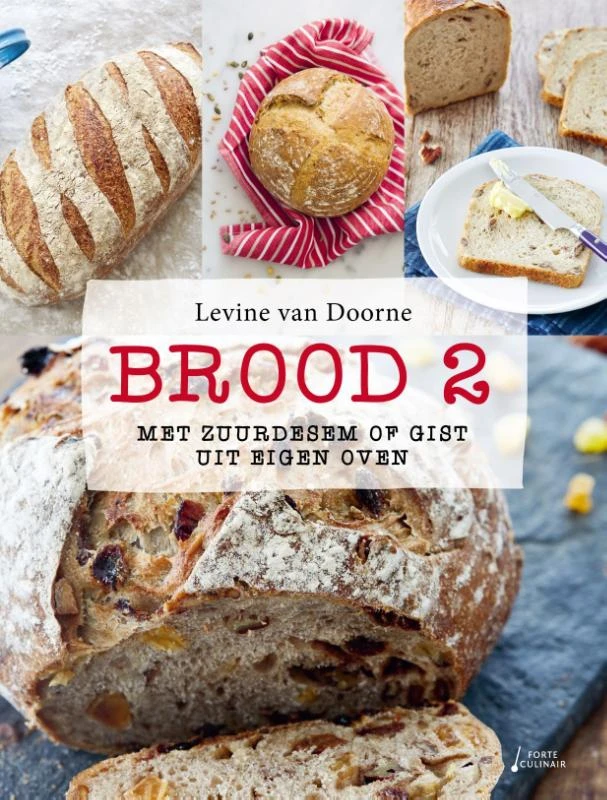Brood 2 – Levine van Doorne – boek cover