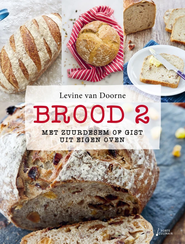 Brood 2 – Levine van Doorne – boek cover