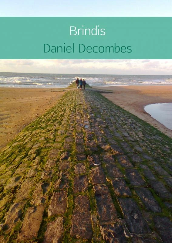 Brindis – Daniel Decombes – boek cover