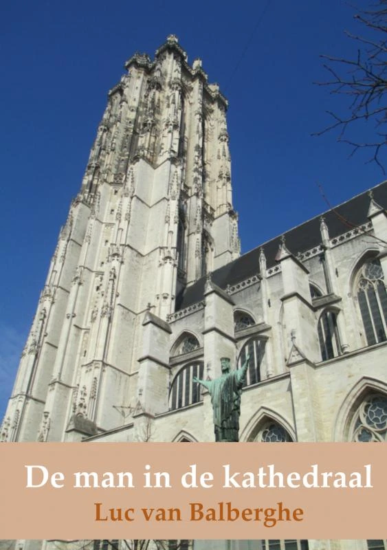 De man in de kathedraal – boek cover