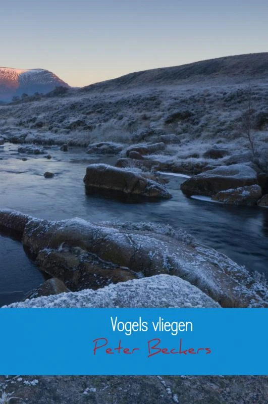Vogels vliegen – Peter Beckers – boek cover