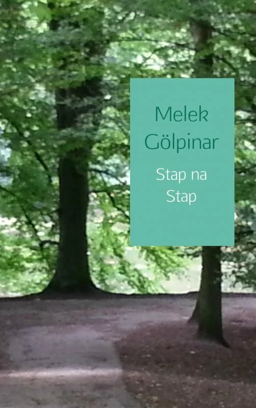Stap na stap – Melek Gölpinar – boek cover