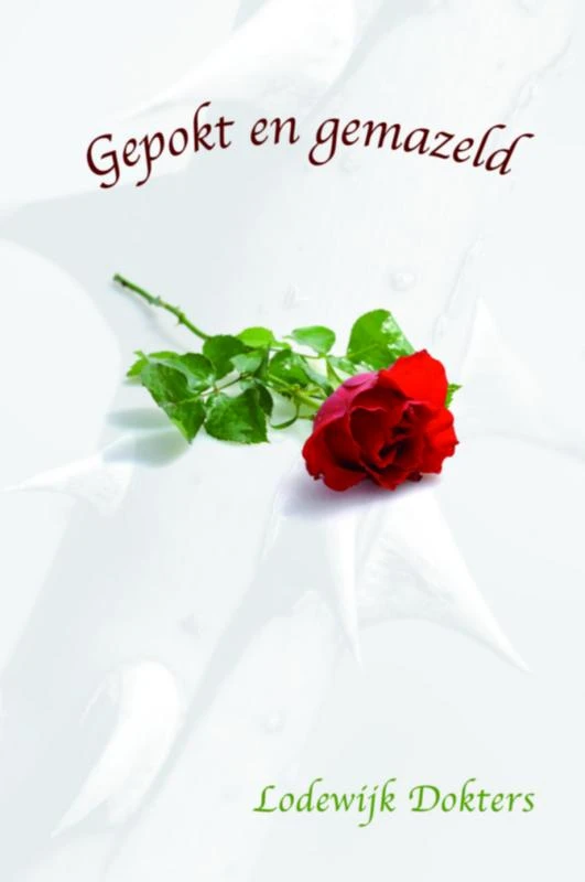 Gepokt en gemazeld – Lodewijk Dokters – boek cover