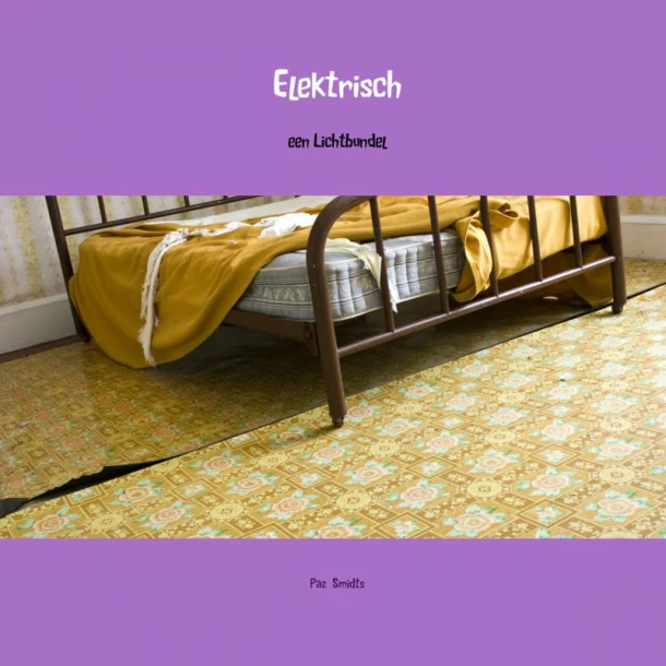 Elektrisch – Paz Smidts – boek cover