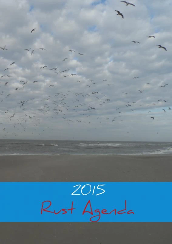 2015 – Rust Agenda – boek cover